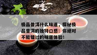 极品普洱什么味道，探秘极品普洱的独特口感：你绝对不能错过的味道体验！