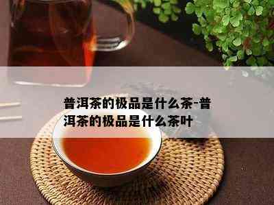 普洱茶的极品是什么茶-普洱茶的极品是什么茶叶