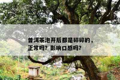 普洱茶泡开后都是碎碎的，正常吗？影响口感吗？