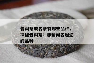 普洱茶成名茶有哪些品种，探秘普洱茶：那些闻名遐迩的品种