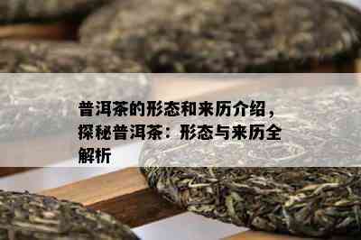 普洱茶的形态和来历介绍，探秘普洱茶：形态与来历全解析