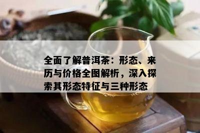 全面了解普洱茶：形态、来历与价格全图解析，深入探索其形态特征与三种形态