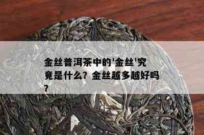 金丝普洱茶中的'金丝'究竟是什么？金丝越多越好吗？