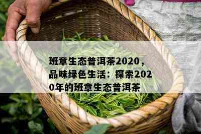 班章生态普洱茶2020，品味绿色生活：探索2020年的班章生态普洱茶