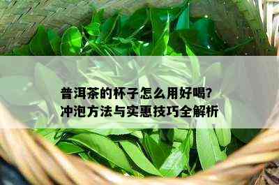 普洱茶的杯子怎么用好喝？冲泡方法与实惠技巧全解析