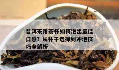 普洱茶用茶杯如何泡出更佳口感？从杯子选择到冲泡技巧全解析