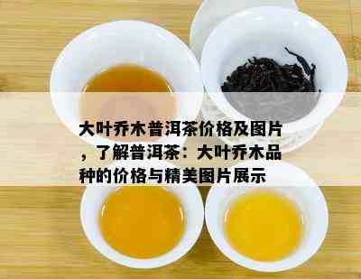 大叶乔木普洱茶价格及图片，了解普洱茶：大叶乔木品种的价格与精美图片展示