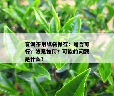 普洱茶用纸袋保存：是否可行？效果如何？可能的问题是什么？