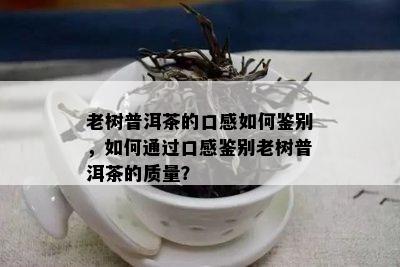 老树普洱茶的口感如何鉴别，如何通过口感鉴别老树普洱茶的质量？