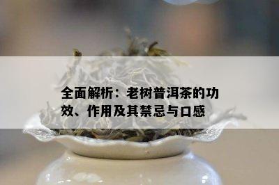 全面解析：老树普洱茶的功效、作用及其禁忌与口感