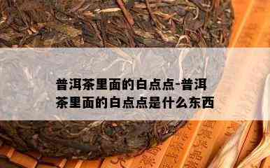 普洱茶里面的白点点-普洱茶里面的白点点是什么东西