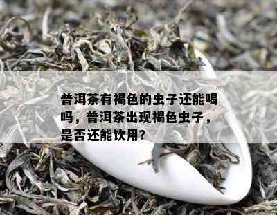 普洱茶有褐色的虫子还能喝吗，普洱茶出现褐色虫子，是否还能饮用？