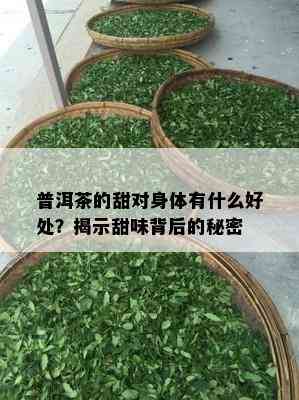 普洱茶的甜对身体有什么好处？揭示甜味背后的秘密