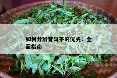 如何分辨普洱茶的优劣：全面指南