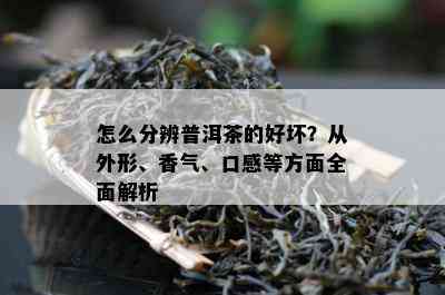 怎么分辨普洱茶的好坏？从外形、香气、口感等方面全面解析