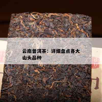 云南普洱茶：详细盘点各大山头品种