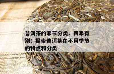 普洱茶的季节分类，四季有别：探索普洱茶在不同季节的特点和分类