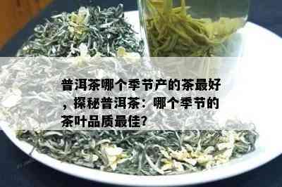 普洱茶哪个季节产的茶更好，探秘普洱茶：哪个季节的茶叶品质更佳？