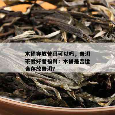 木桶存放普洱可以吗，普洱茶爱好者福利：木桶是否适合存放普洱？