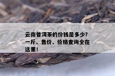 云南普洱茶的价钱是多少？一斤、售价、价格查询全在这里！