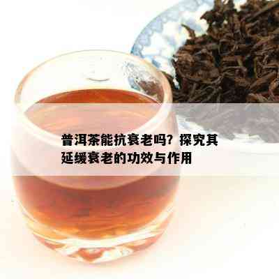 普洱茶能抗衰老吗？探究其延缓衰老的功效与作用