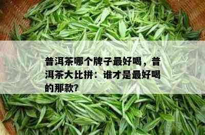 普洱茶哪个牌子更好喝，普洱茶大比拼：谁才是更好喝的那款？