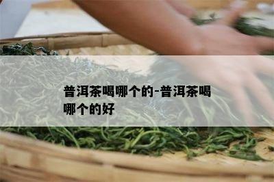 普洱茶喝哪个的-普洱茶喝哪个的好