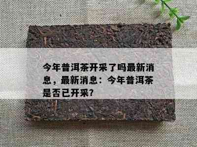 今年普洱茶开采了吗最新消息，最新消息：今年普洱茶是否已开采？