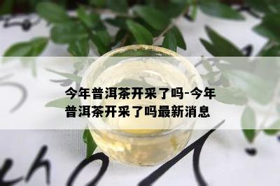 今年普洱茶开采了吗-今年普洱茶开采了吗最新消息