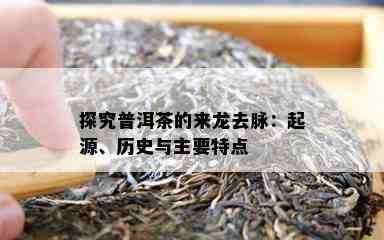 探究普洱茶的来龙去脉：起源、历史与主要特点