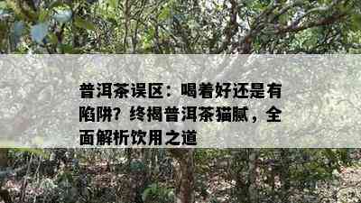 普洱茶误区：喝着好还是有陷阱？终揭普洱茶猫腻，全面解析饮用之道