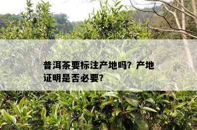 普洱茶要标注产地吗？产地证明是否必要？