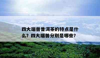 四大瑞兽普洱茶的特点是什么？四大瑞兽分别是哪些？