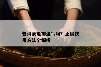 普洱茶能排湿气吗？正确饮用方法全解析