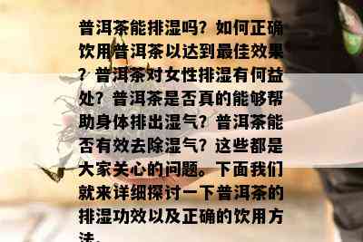 普洱茶能排湿吗？如何正确饮用普洱茶以达到更佳效果？普洱茶对女性排湿有何益处？普洱茶是否真的能够帮助身体排出湿气？普洱茶能否有效去除湿气？这些都是大家关心的问题。下面我们就来详细探讨一下普洱茶的排湿功效以及正确的饮用方法。