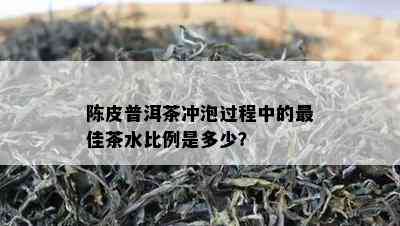 陈皮普洱茶冲泡过程中的更佳茶水比例是多少？