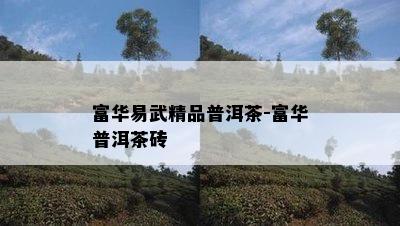 富华易武精品普洱茶-富华普洱茶砖