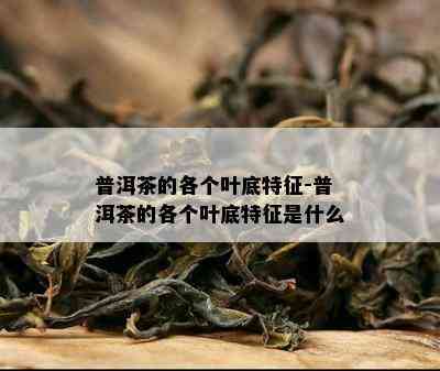 普洱茶的各个叶底特征-普洱茶的各个叶底特征是什么