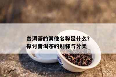 普洱茶的其他名称是什么？探讨普洱茶的别称与分类