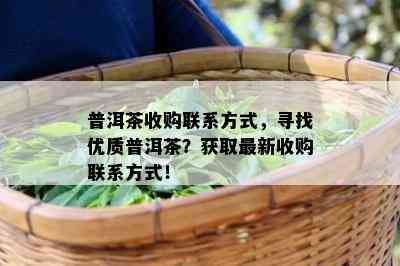 普洱茶收购联系方式，寻找优质普洱茶？获取最新收购联系方式！