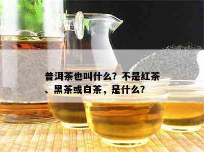 普洱茶也叫什么？不是红茶、黑茶或白茶，是什么？