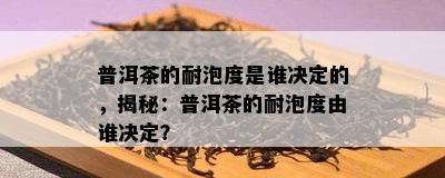 普洱茶的耐泡度是谁决定的，揭秘：普洱茶的耐泡度由谁决定？