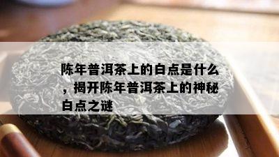 陈年普洱茶上的白点是什么，揭开陈年普洱茶上的神秘白点之谜