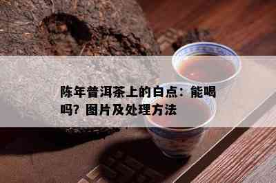 陈年普洱茶上的白点：能喝吗？图片及处理方法