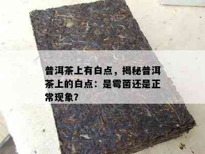 普洱茶上有白点，揭秘普洱茶上的白点：是霉菌还是正常现象？