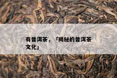 有普洱茶，「揭秘的普洱茶文化」