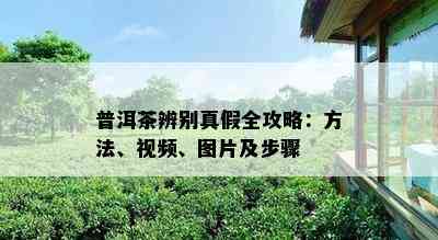 普洱茶辨别真假全攻略：方法、视频、图片及步骤