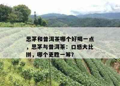 思茅和普洱茶哪个好喝一点，思茅与普洱茶：口感大比拼，哪个更胜一筹？