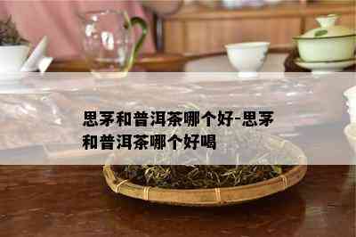 思茅和普洱茶哪个好-思茅和普洱茶哪个好喝