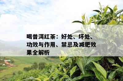 喝普洱红茶：好处、坏处、功效与作用、禁忌及减肥效果全解析